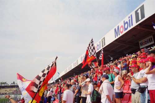 The Red-Hats