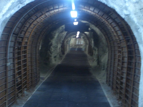 Cimg0712.JPG