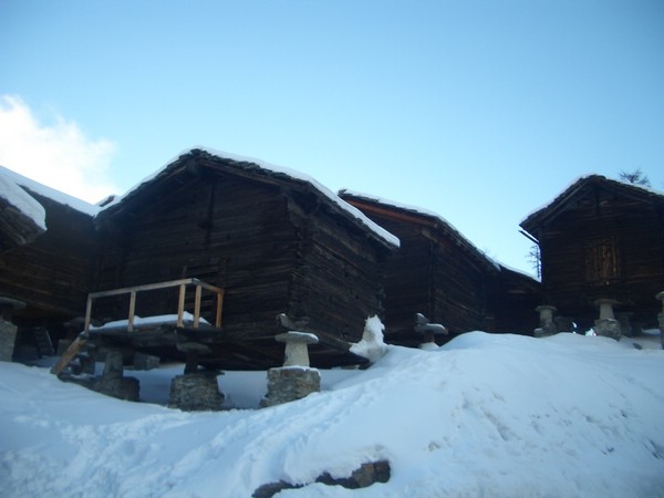 Cimg0794.JPG