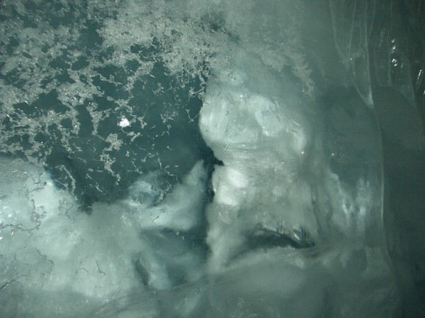 Cimg0809.JPG